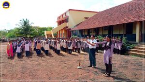 11051 environment day activities2017.jpg