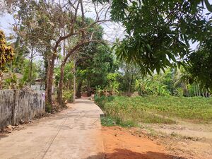 14857 Ente gramam road.jpg