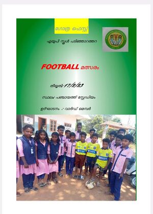 15253 football.jpg