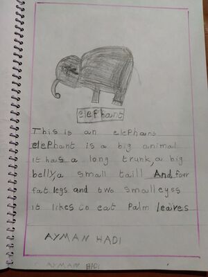 18331-MLP-KUNJ-AYMAN HADI.jpg