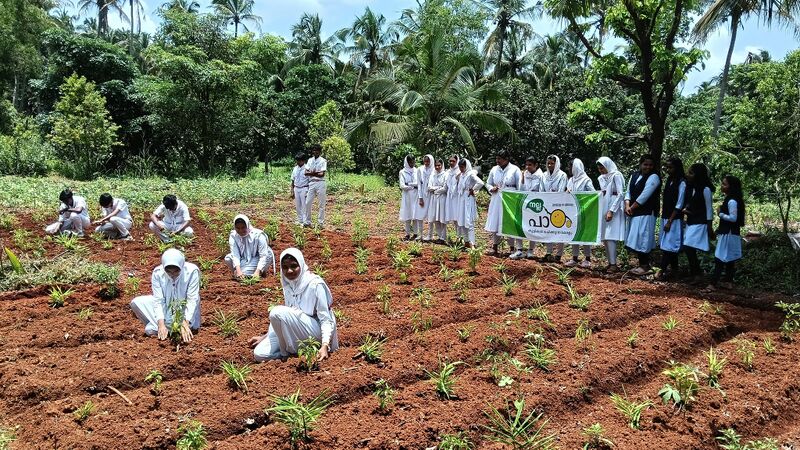 പ്രമാണം:19010 24-25 52.jpg