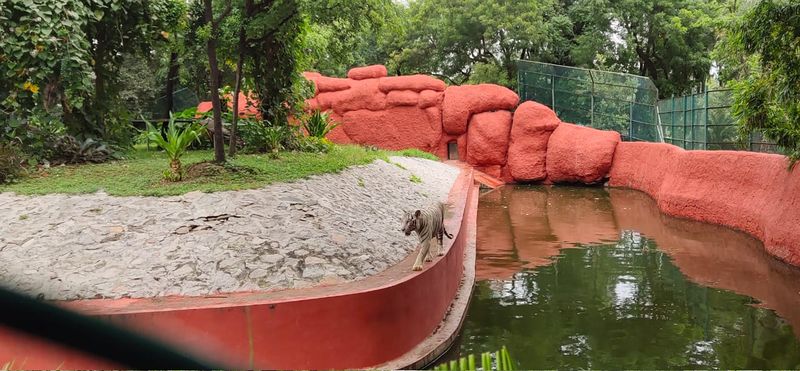 പ്രമാണം:19051 tar7.jpg