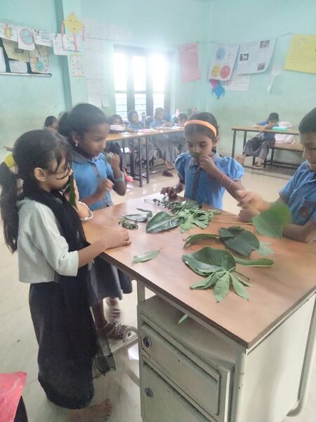 പ്രമാണം:19826 leaf.jpeg