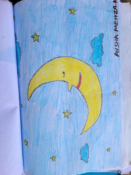 പ്രമാണം:19861-MLP-KUNJ-AYISHA MEHZA.jpg