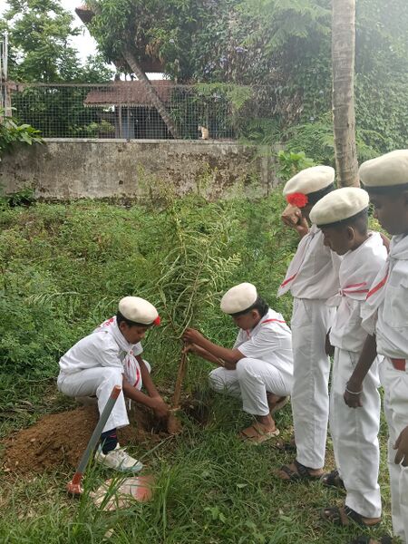 പ്രമാണം:21043-2-environmentday-2026.jpeg