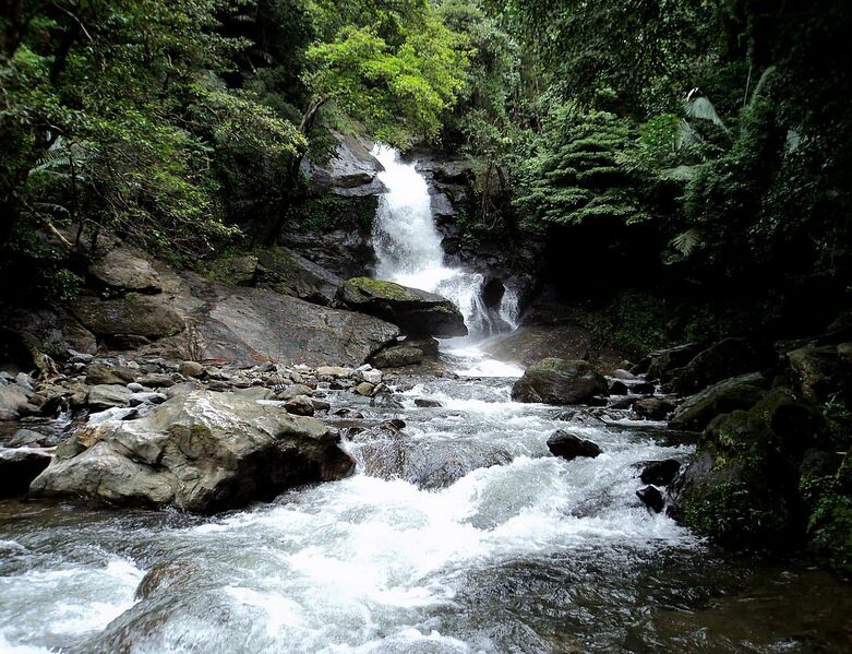 പ്രമാണം:21833 meenwallam waterfalls.jpg