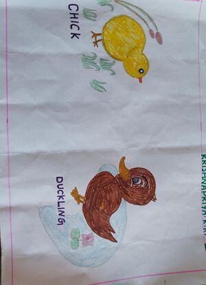 22627-TSR-KUNJ-KRISHNAPRIYA K K.jpeg