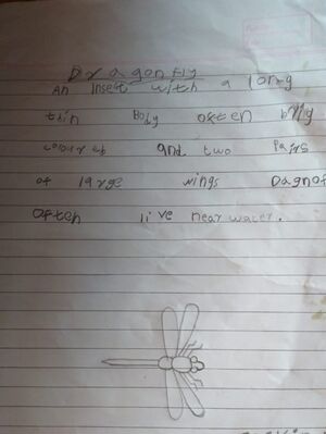 24073-TSR-KUNJ-ASVIN BIJU.jpg