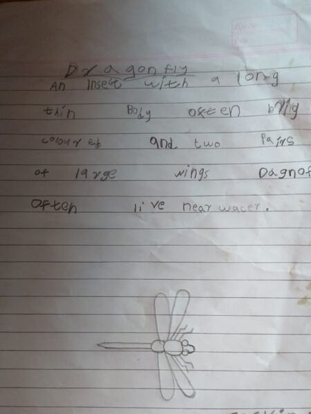 പ്രമാണം:24073-TSR-KUNJ-ASVIN BIJU.jpg