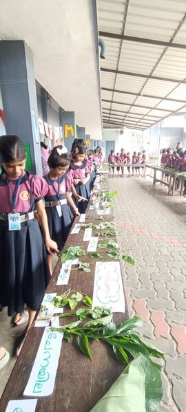 പ്രമാണം:25044 LP Exhibition-oushadasasyam4.jpg