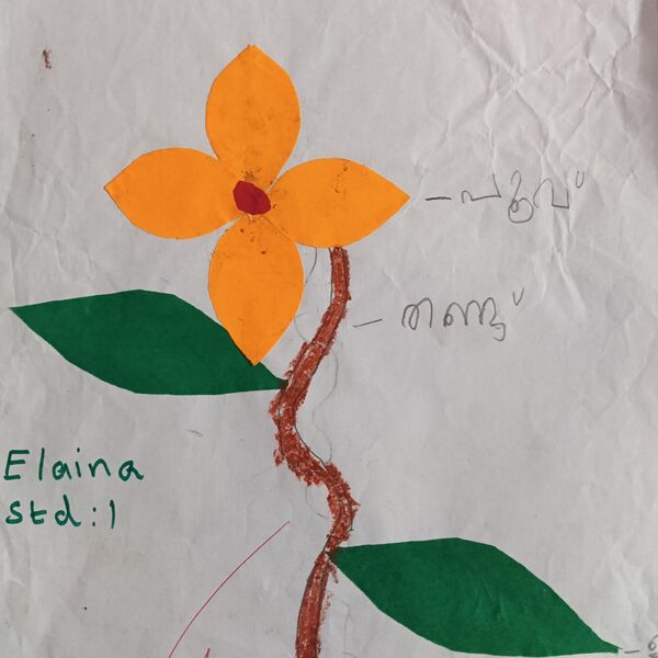 പ്രമാണം:26251-EKM-KUNJ- ELIANA STD1.jpg