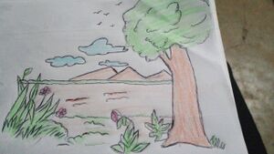 30222-My naturestd-1 std-1jpg-min.jpeg