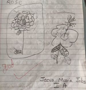 31540-KTM-KUNJU-JEEVAMARIYA JOBY-jpeg.jpeg