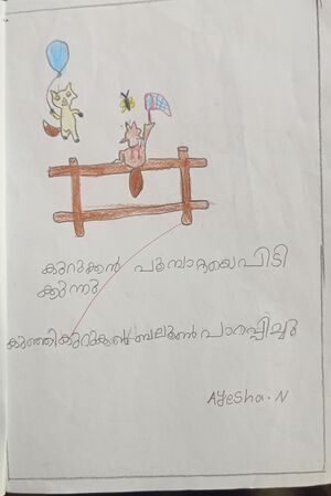 34237-ALP-Kunj-Ayesha N.jpg