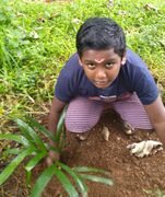 പരിസ്ഥിതി ദിനാഘോഷം 2021