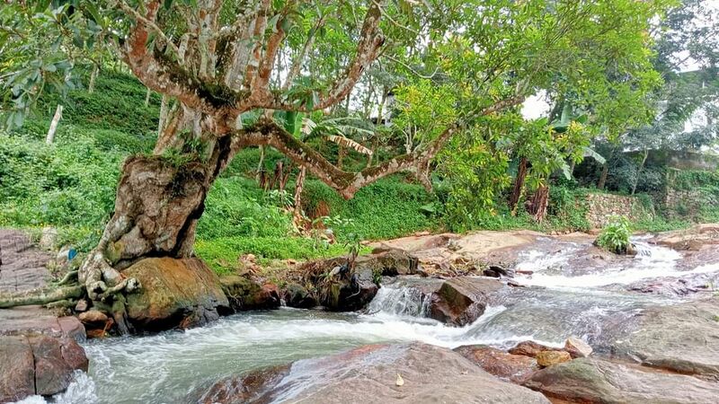 പ്രമാണം:42070 ..jpg