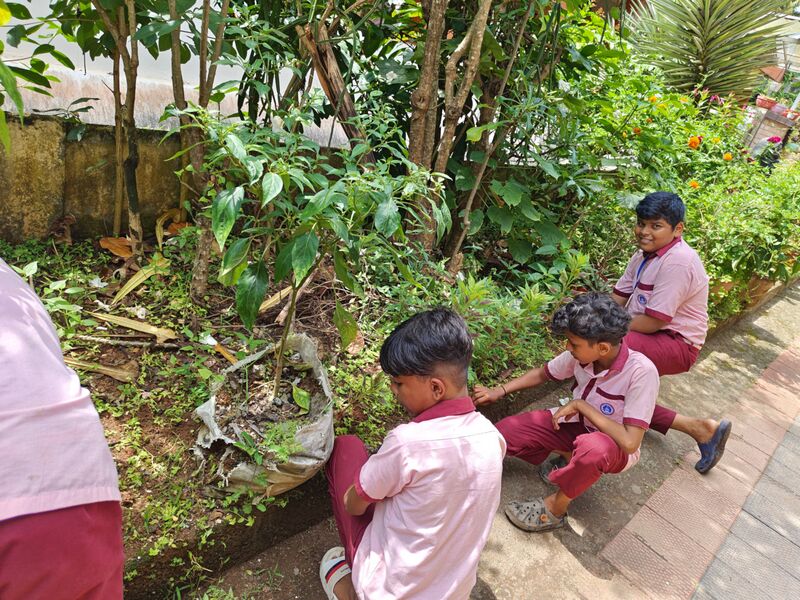 പ്രമാണം:42548 sevanadinam.jpg