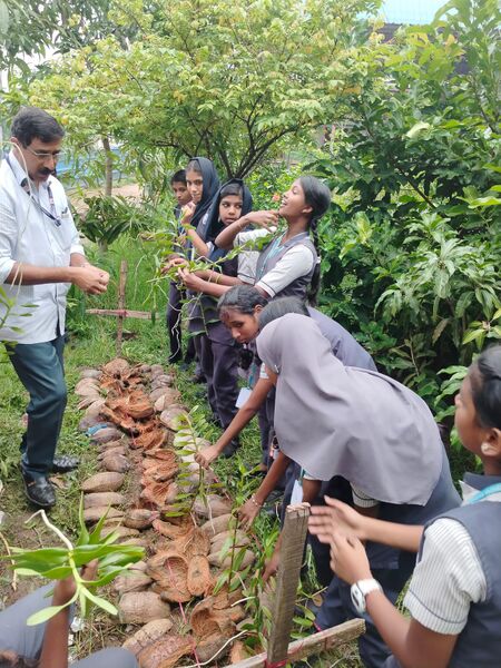 പ്രമാണം:43069 Orchid.jpeg