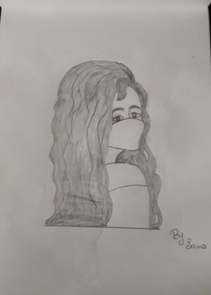 44024-sina N F std 6C.jpeg