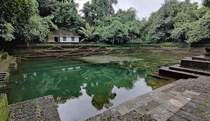 IMG 20210807 145556.jpg