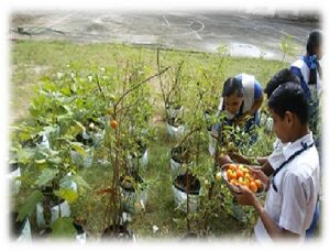 JAIVAKRISHI 35052.jpg