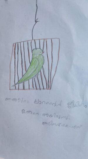 Nerkkazhcha -Abhinav K S.jpg