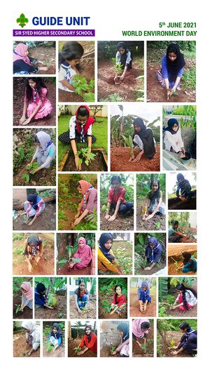 13117 EnvironmentDayActivity.jpeg