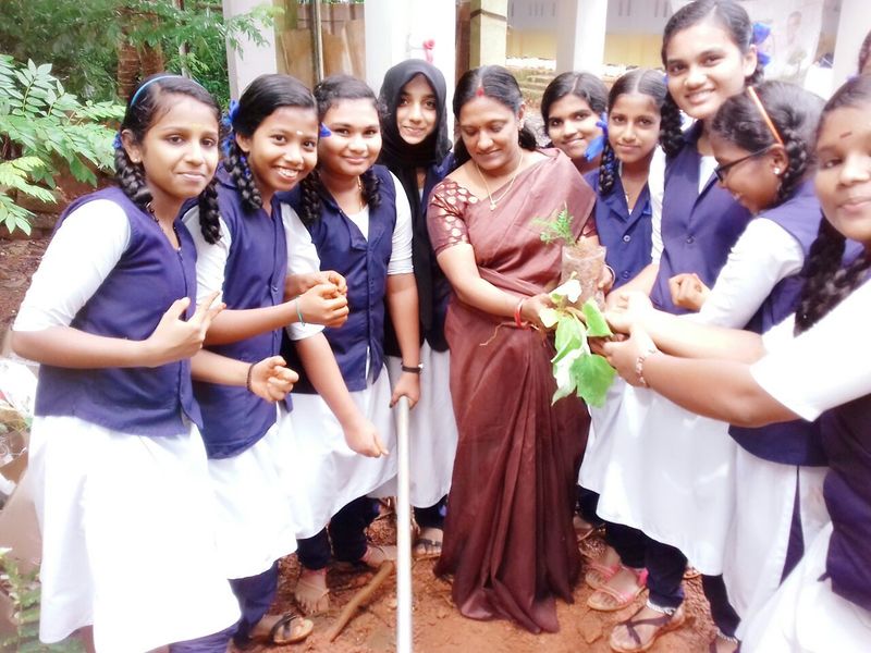 പ്രമാണം:16038 62.jpg