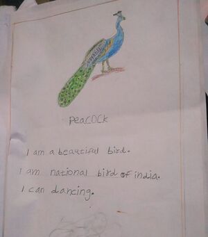 18542-MLP-KUNJ- RUBAB O 1B.jpg