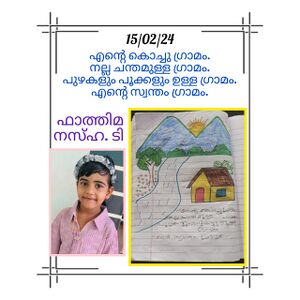 18639-MLP-NASHA .jpg