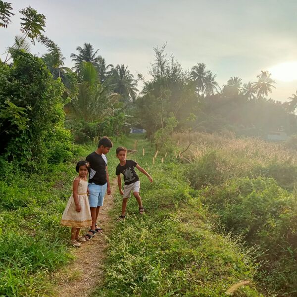 പ്രമാണം:21069 my village.jpeg