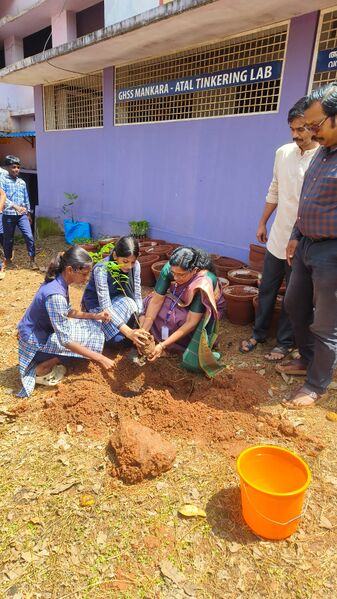 പ്രമാണം:21073 PLANTING SAPLING.jpeg
