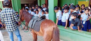 22071 TSR horseriding1.jpg