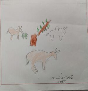 24080-TSR-KUNJ-AYISHA RUSMI.jpg