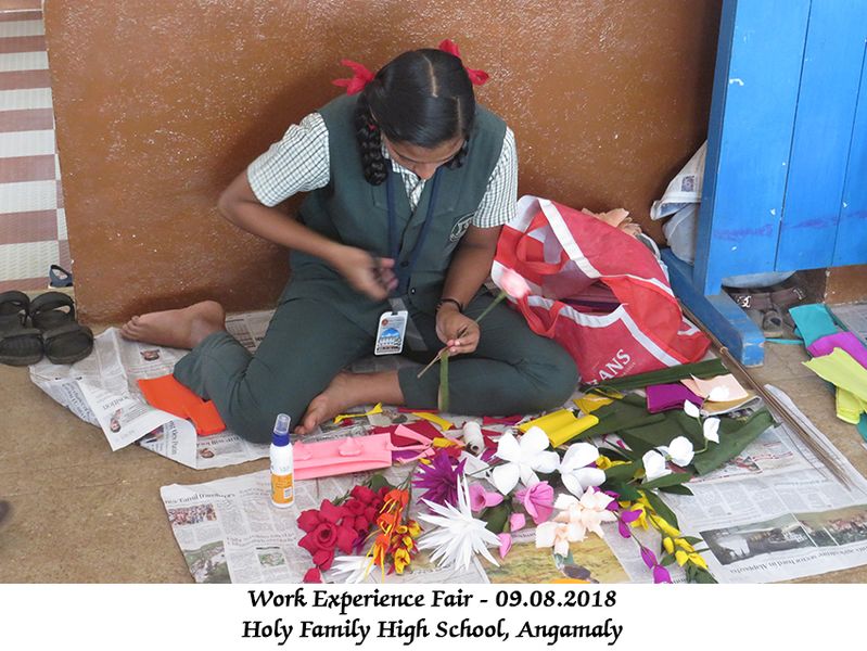 പ്രമാണം:25024wefair (4).jpg