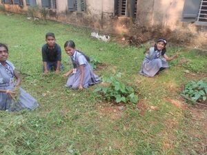 29312 environmentclub43.jpg