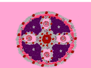 30039 idk dp 2019 2.png