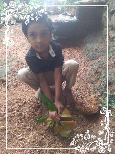 പ്രമാണം:33433-Environment 2.jpg