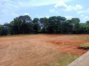 37001 ground 22 2.jpeg