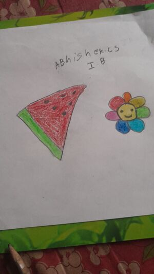 44372-TVM-KUNJ-ABHISHEK C S.jpg