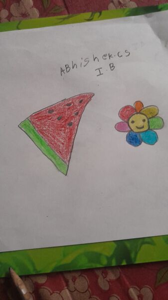 പ്രമാണം:44372-TVM-KUNJ-ABHISHEK C S.jpg