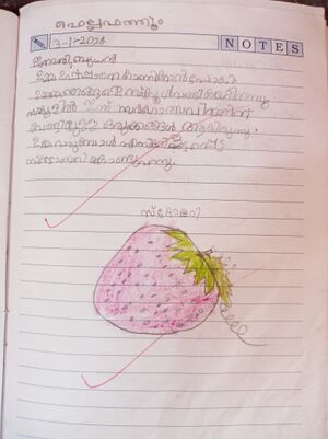 47608-KKD-KUNJ-FELLA FATHOOM .jpg