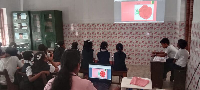 പ്രമാണം:Fool 26337.jpg