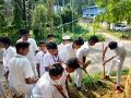 11:24, 26 ജനുവരി 2022-ലെ പതിപ്പിന്റെ ലഘുചിത്രം