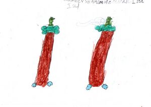 13110-KNR-KUNJ-FARHEEN SHAMIM.jpg