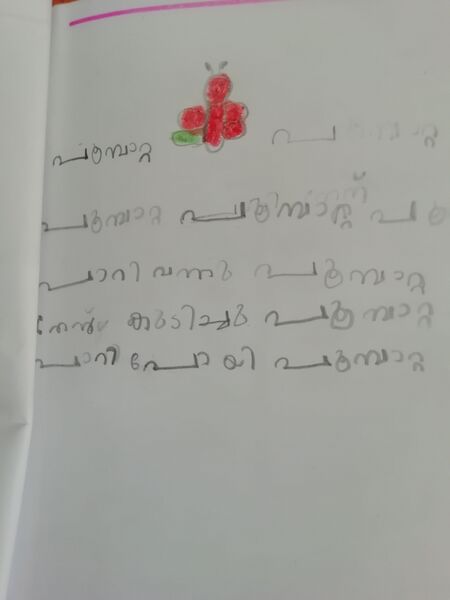 പ്രമാണം:13529-KNR-KUNJ-MUHAMMED RIYAN HARIS.jpg