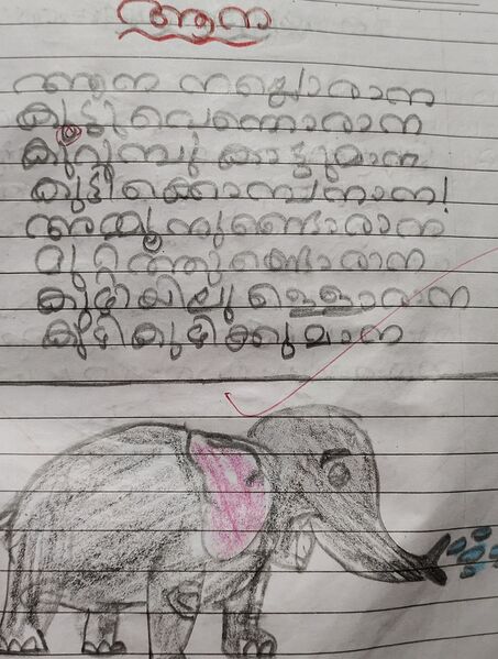 പ്രമാണം:14029-KNR-KUNJ-AARUSH RAJ.jpg