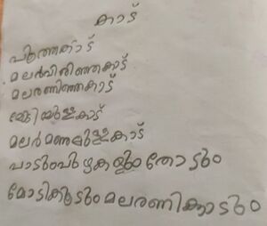 15477-WYD-KUNJ-AMAN ISMAYIL.jpg