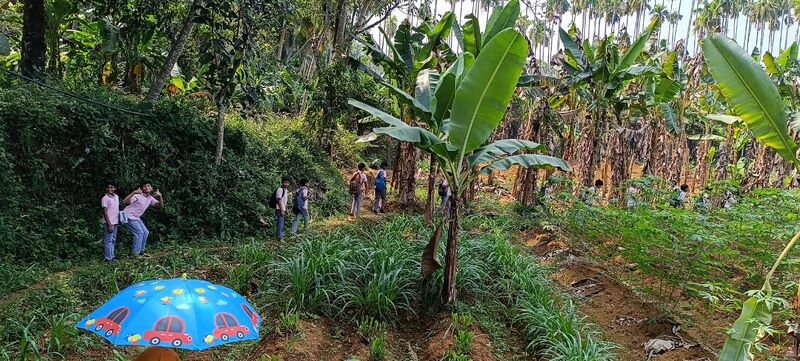 പ്രമാണം:19862 cherur v.jpg