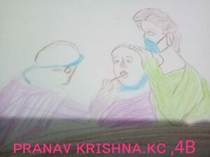 19866 nerkkazhcha Pranav Krishna 4B.jpg